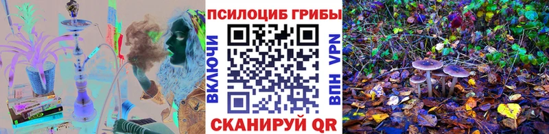 Галлюциногенные грибы Psilocybine cubensis Ржев