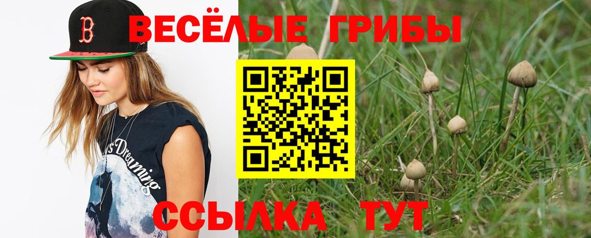 Псилоцибиновые грибы Cubensis Ржев